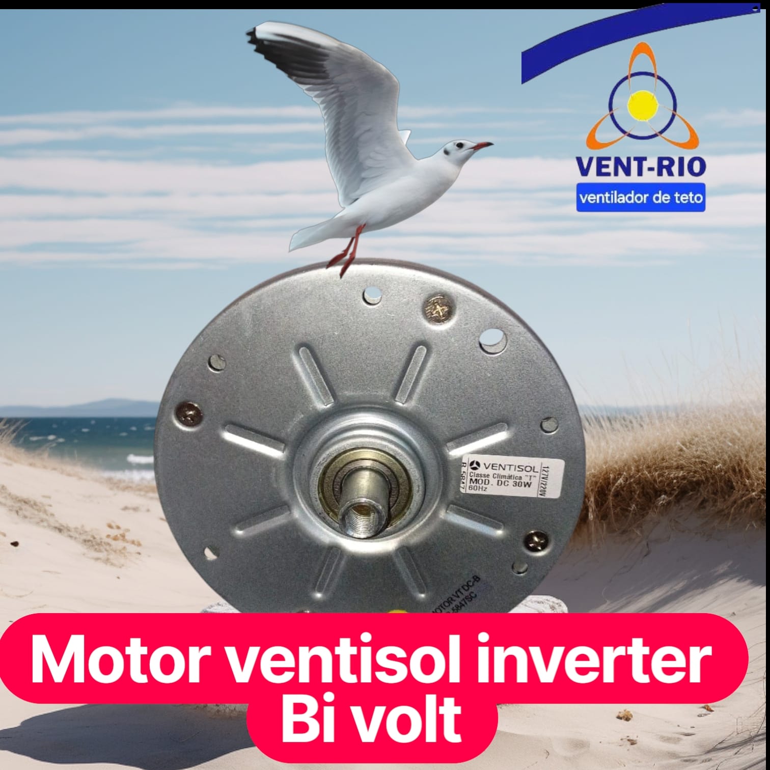 WhatsApp Image 2025-07-15 at 14.00.01.jpeg